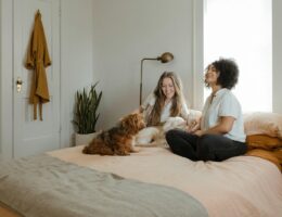 Últimas Innovaciones en Dispositivos para Mascotas