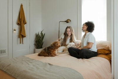 Últimas Innovaciones en Dispositivos para Mascotas