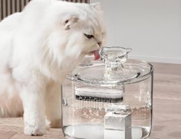 Bebedero automático con filtro para gatos: la solución perfecta para mantener hidratada a tu mascota