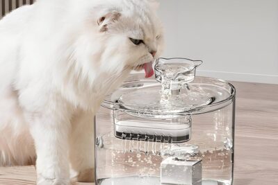 Bebedero automático con filtro para gatos: la solución perfecta para mantener hidratada a tu mascota