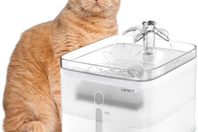 Bebedero automático silencioso para gatos: la solución perfecta para mantener a tu mascota hidratada y feliz