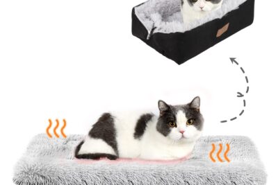 Cama Térmica para Gatos: La guía definitiva para elegir la mejor opción para tu mascota