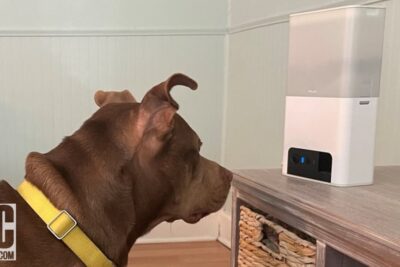 Cámaras de seguridad para vigilar a tu perro en casa: la guía definitiva para mantener a tu perro seguro