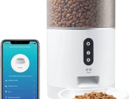 Comedero automático para perros: la solución perfecta