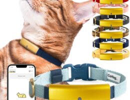 Descubre el Collar Inteligente para Gatos: La Innovación que Cuida y Conecta a tu Mascota