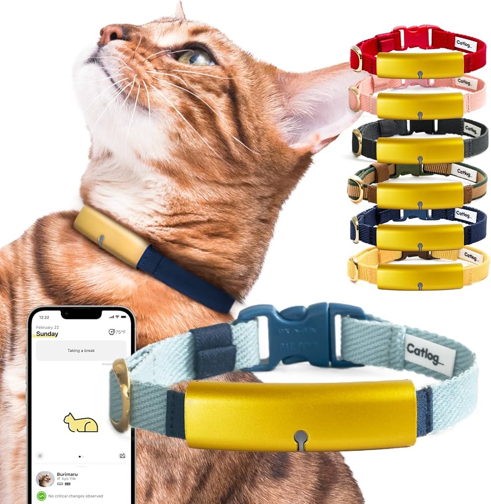 Descubre el Collar Inteligente para Gatos: La Innovación que Cuida y Conecta a tu Mascota