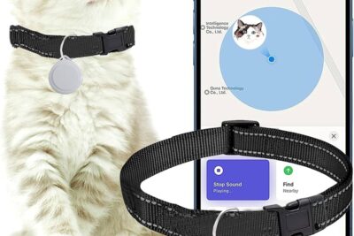 Descubre el mejor collar GPS para gatos pequeños: seguridad y comodidad para tu mascota