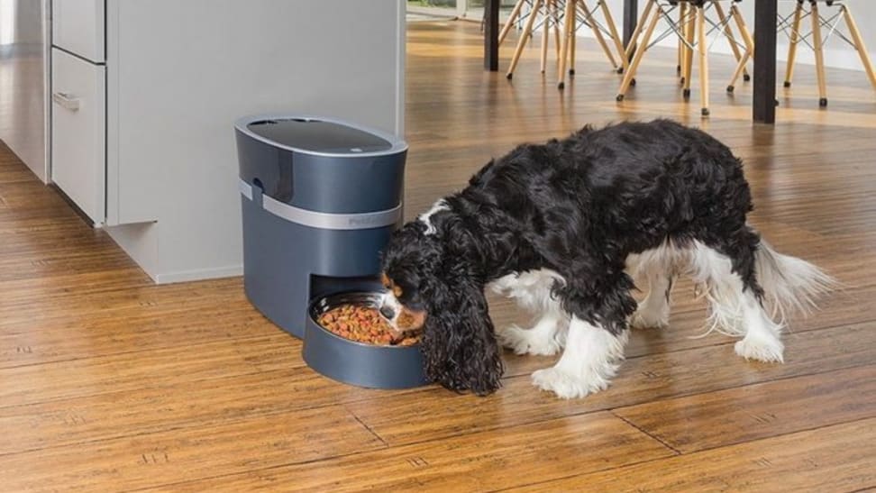 Descubra los 7 beneficios de los comederos inteligentes para perros que transformarán la dieta de su mascota