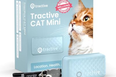 Dispositivo de seguimiento de gatos: seguridad y tranquilidad para su mascota