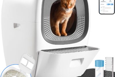 Guía completa de cajas de arena para gatos autolimpiantes: comodidad y limpieza sin esfuerzo