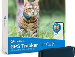 Las mejores aplicaciones de seguimiento de actividad física para gatos: ¡cuida la salud de tu felino!