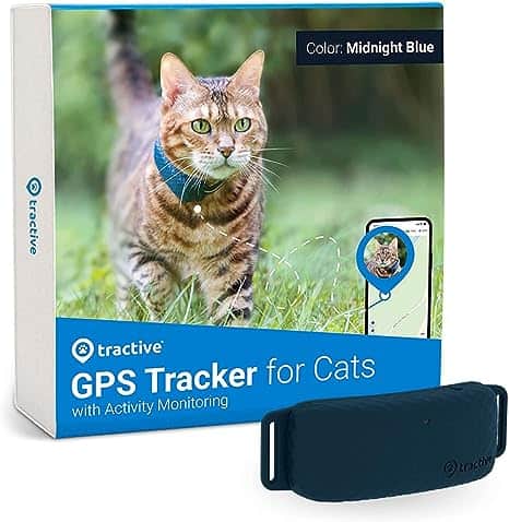 Las mejores aplicaciones de seguimiento de actividad física para gatos: ¡cuida la salud de tu felino!