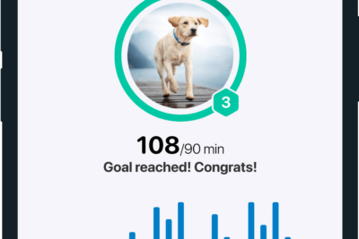 Las mejores aplicaciones de seguimiento de actividad física para perros: ¡mantenga a su mascota sana y activa!