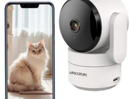 Las mejores cámaras de seguridad para vigilar a tu gato en casa: seguridad y tranquilidad