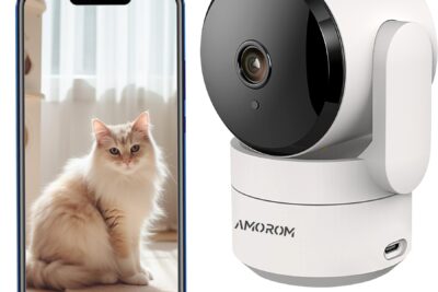 Las mejores cámaras de seguridad para vigilar a tu gato en casa: seguridad y tranquilidad