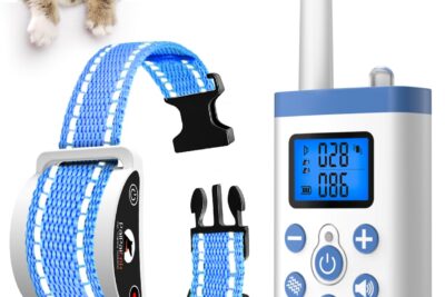 Los mejores dispositivos de control de maullidos para gatos: ¡Dile adiós al ruido!