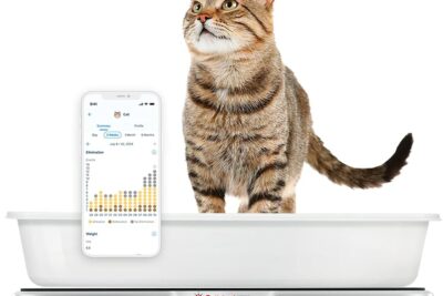 Los mejores dispositivos de control de la salud para gatos: cuide a su mascota de forma inteligente