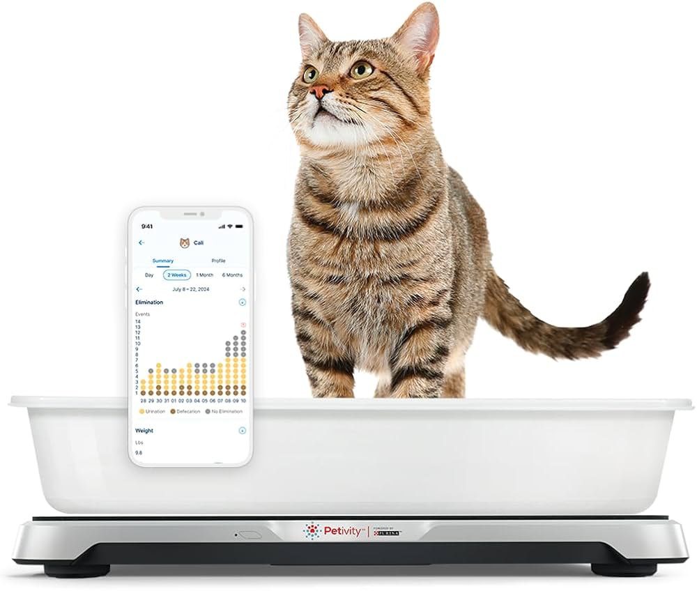 Los mejores dispositivos de control de la salud para gatos: cuide a su mascota de forma inteligente