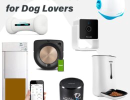 Los mejores dispositivos para mantener a tu mascota activa y feliz