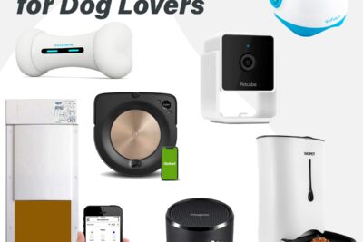 Los mejores dispositivos para mantener a tu mascota activa y feliz