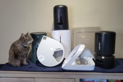 Los Mejores Sistemas de Alimentación Automática para Gatos: Comodidad y Bienestar para tu Mascota