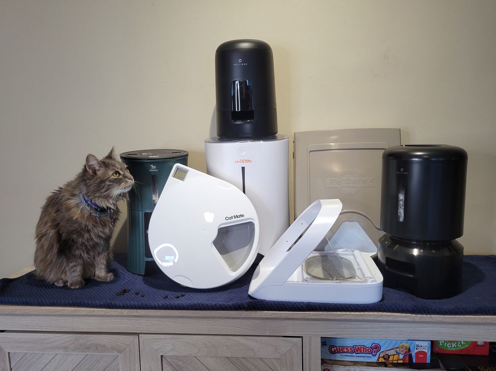 Los Mejores Sistemas de Alimentación Automática para Gatos: Comodidad y Bienestar para tu Mascota