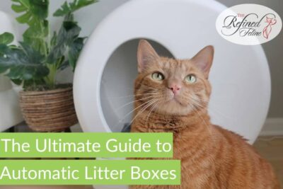 Mantenimiento de cajas de arena automáticas para gatos: guía completa para un uso eficiente